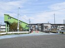 その他 サンフラワー