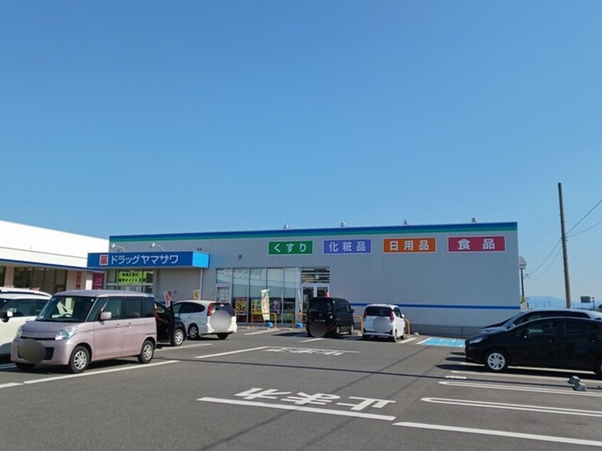 その他 サンフラワー