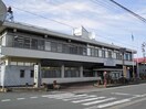 その他 サンフラワー