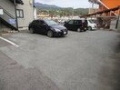  プライム・N