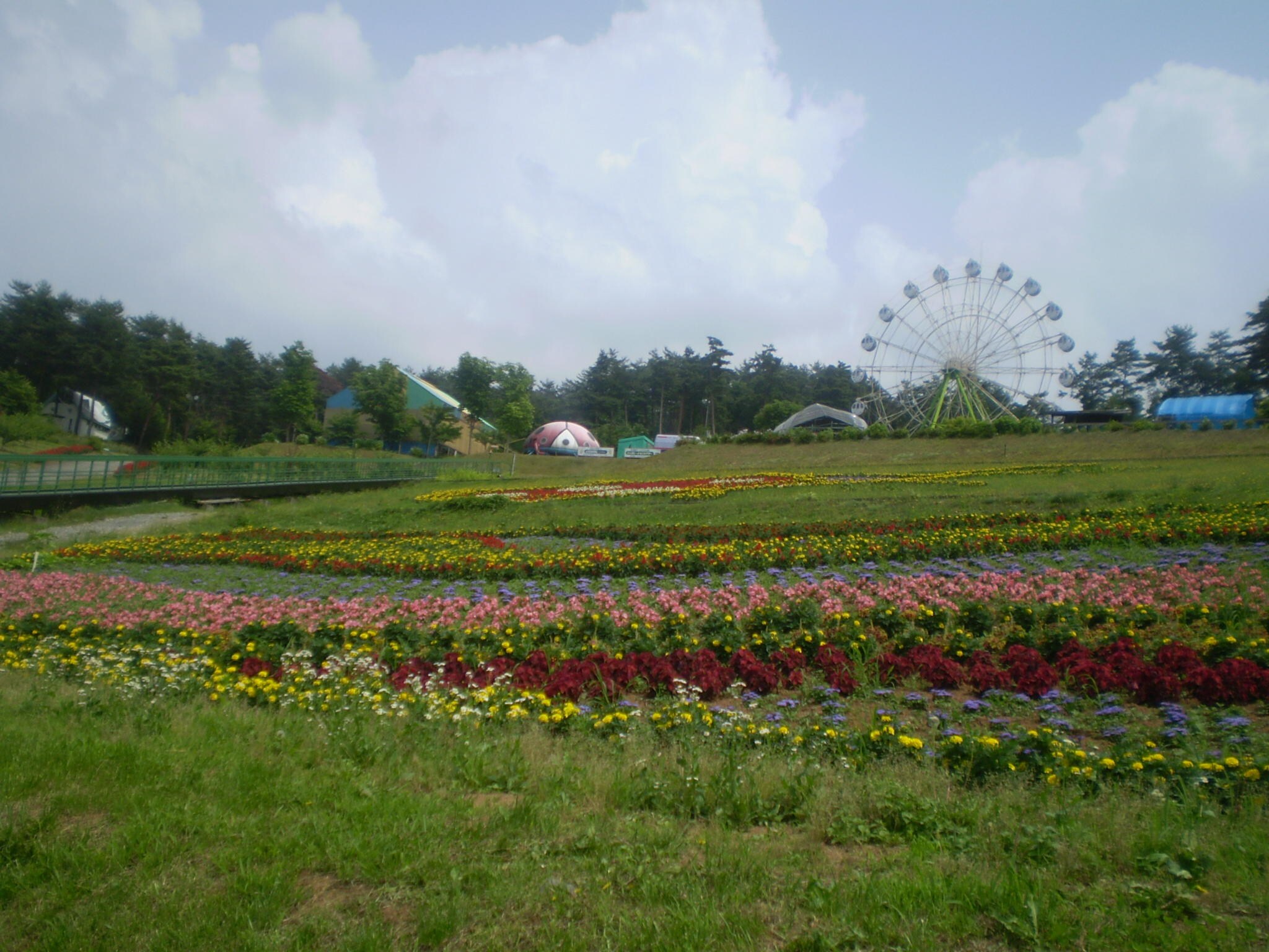 花と緑のフラワーパーク花夢花夢 3037m アーバン中桜田