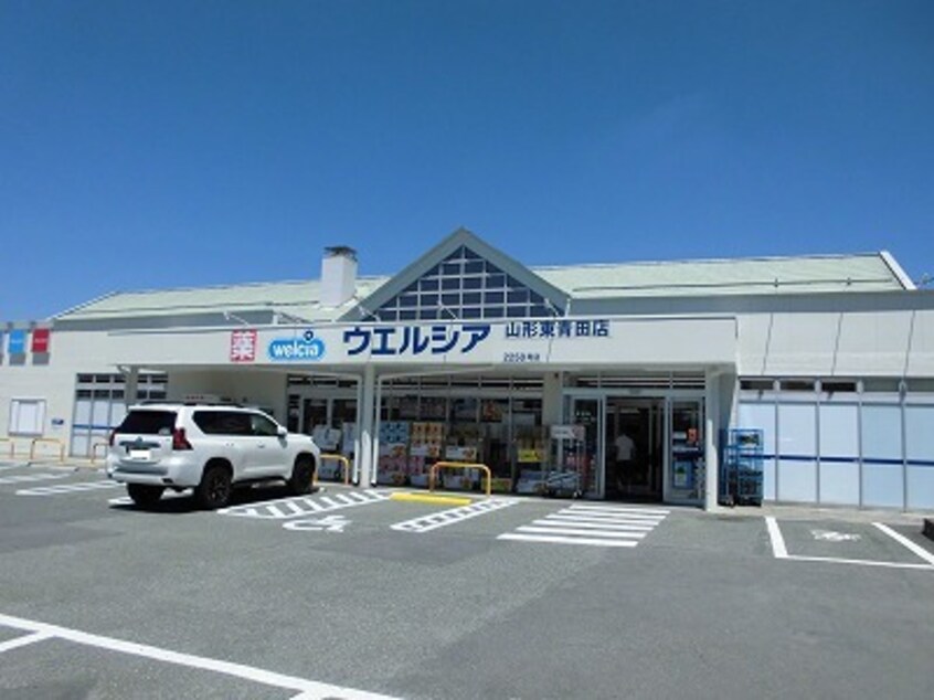 その他 サンフローラ・グレース