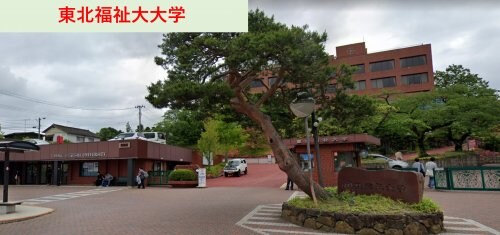 東北福祉大学(大学/短大/専門学校)まで412m ハイツマロニエ北山