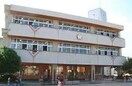 山形市立桜田小学校(小学校)まで271m ハイツマロニエ3番館