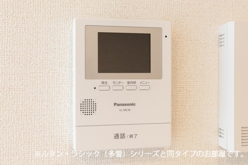 その他 サンフローラ・グレース