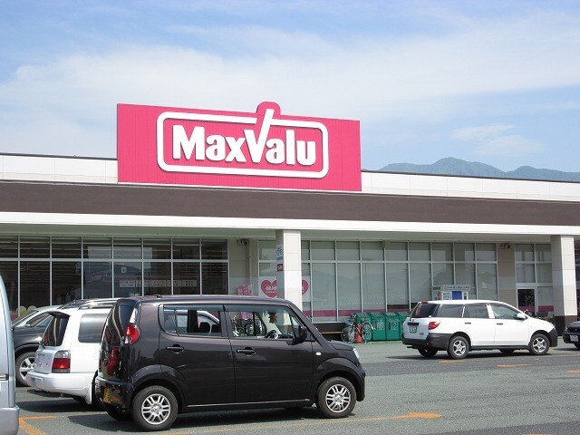 その他 サンフローラ・グレース