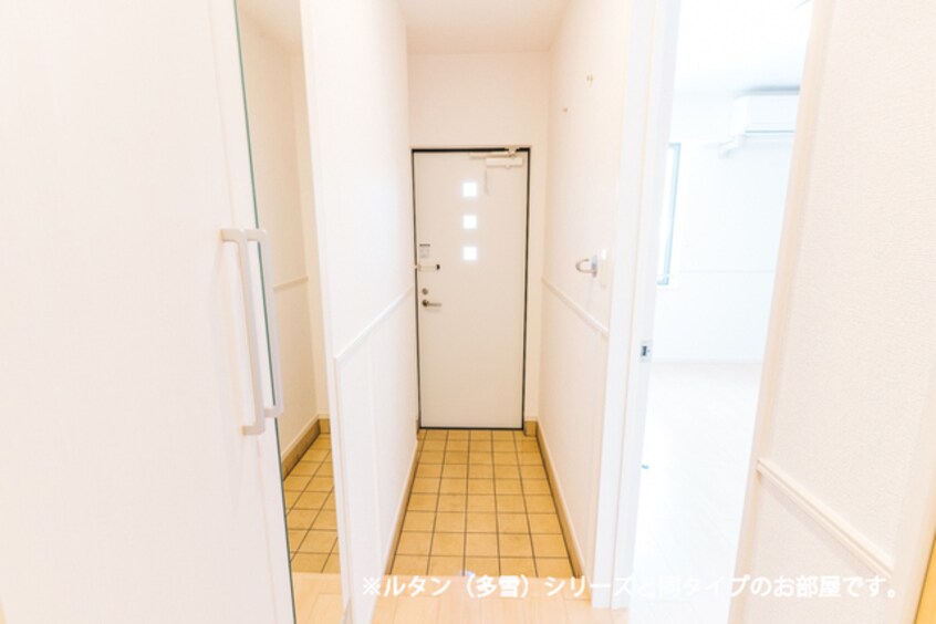 玄関 メゾン　ルーチェ