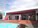 ヤマザワ蔵王駅前店 0.4km エバーグレイス