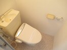 コンパクトで使いやすいトイレです プラザドゥスパドール