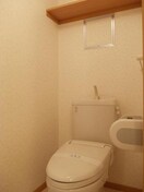  コットンハウス