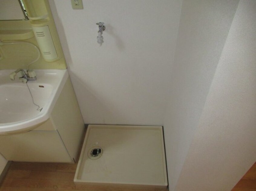 サンプル写真になります。 ローレルさくら