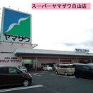 （株）ヤマザワ 白山店(スーパー)まで362m ライフステージⅡ