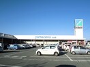 その他 モア・ドミール