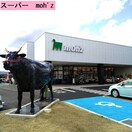 スーパー　moh’z(スーパー)まで843m フレグランス ルージュ