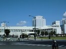 その他 ル・シェモア