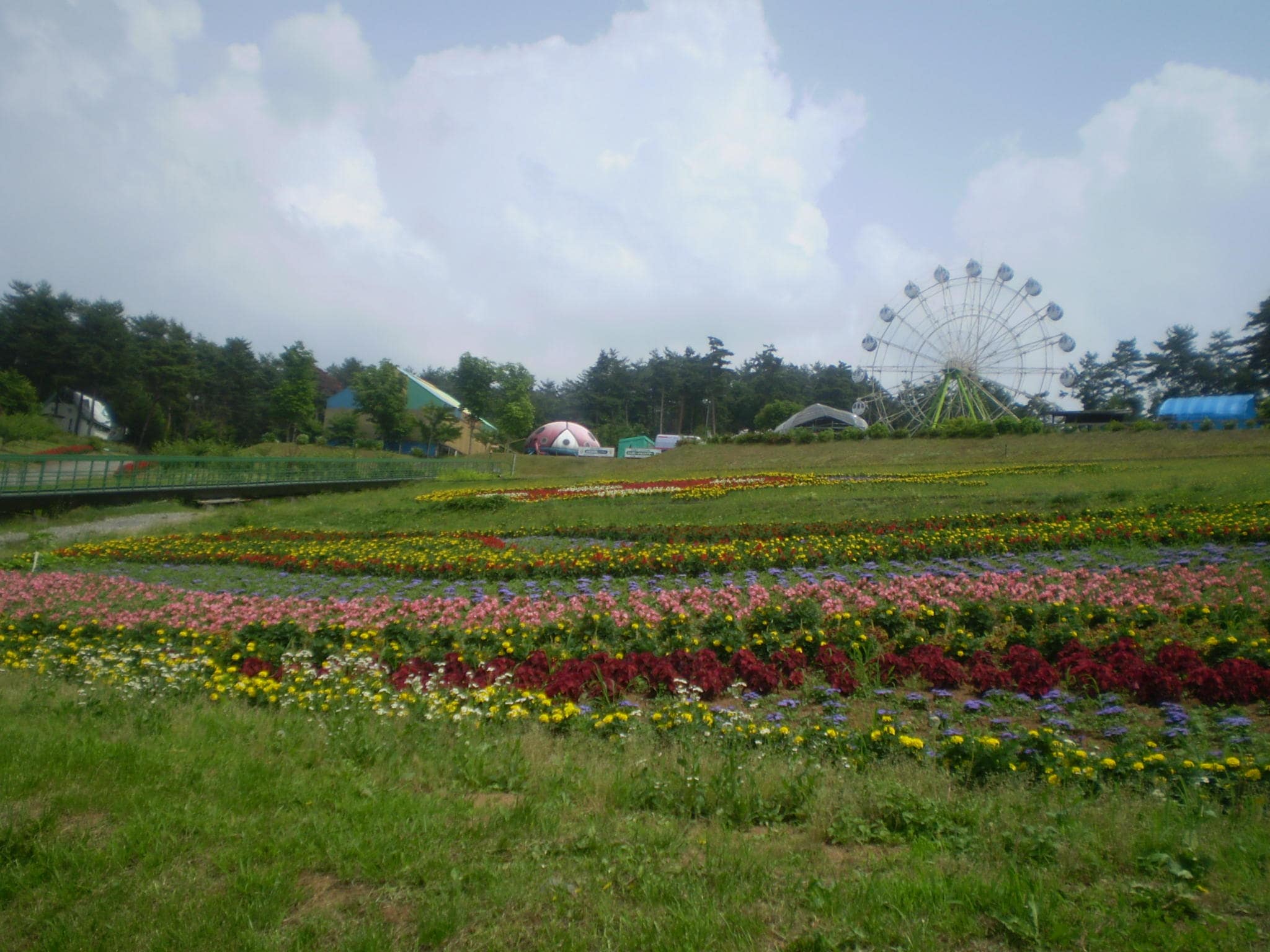 花と緑のフラワーパーク花夢花夢 2290m レ・アール飯田Ⅱ