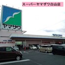 （株）ヤマザワ 白山店(スーパー)まで487m メゾン・ド 白山