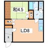 ドエル東光 1LDKの間取り