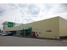 コープさっぽろツインハープ店(スーパー)まで1621m ハープヒルズ