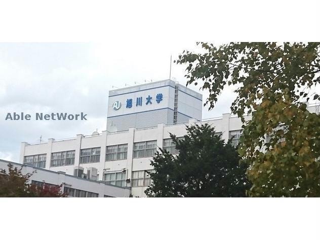旭川市立大学(大学/短大/専門学校)まで141m CowCow永山　A