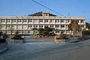 姫路商業高校(高等学校/高等専門学校)まで3900m タウンズイノウエ