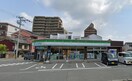 ファミリーマート　梅ヶ枝町店(コンビニ)まで340m ステラ