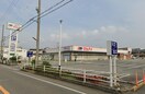 マルアイアンビック店(スーパー)まで50m プレイン野里