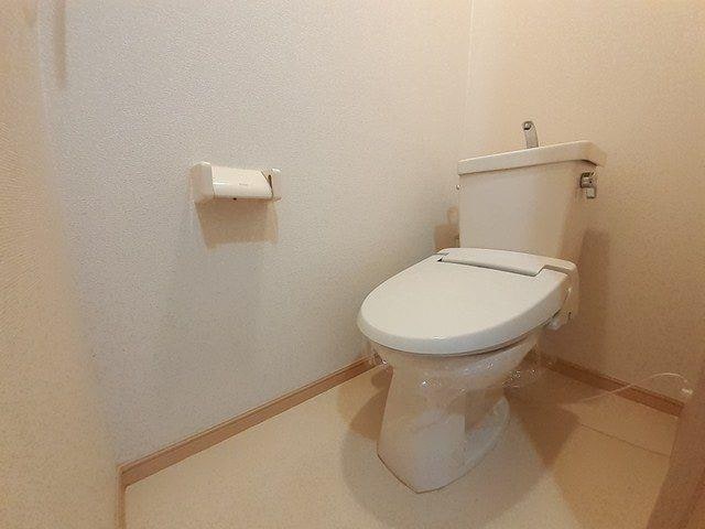  ブルーマウンテン