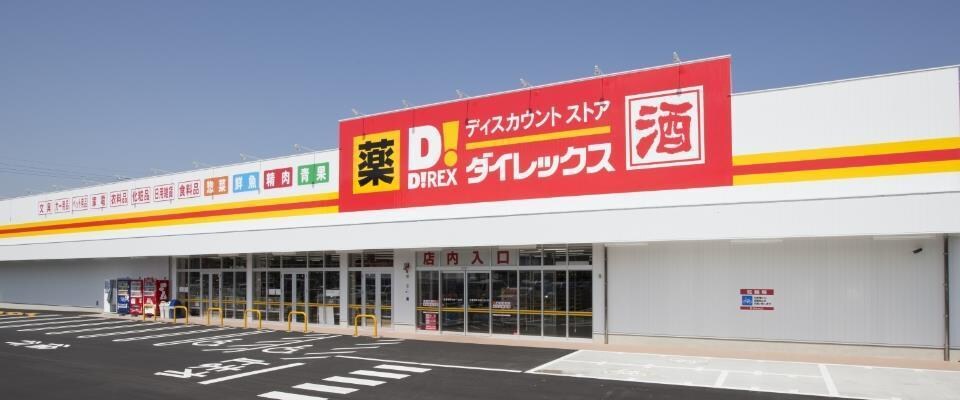 ダイレックス姫路店(ディスカウントショップ)まで977m キャッスルコート龍野町II