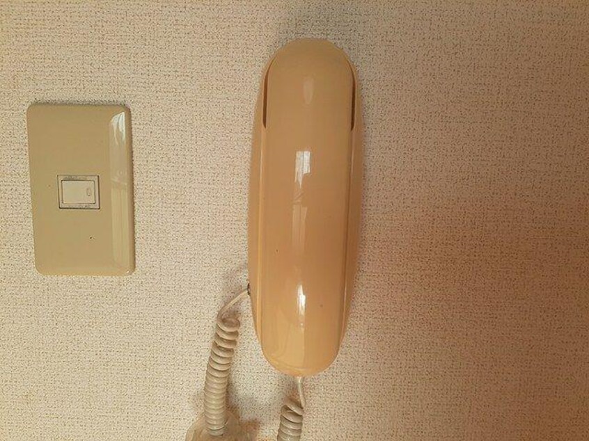  サンセール