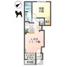 ライラック 1LDKの間取り