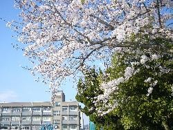 城西小学校(小学校)まで676m グランドメゾン姫路　【分譲】