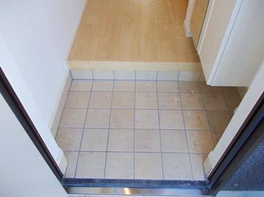  アサノ・モノカーメラ