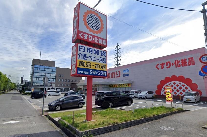 スーパードラックひまわり　三条店(ドラッグストア)まで280m ポーシェガーデン２