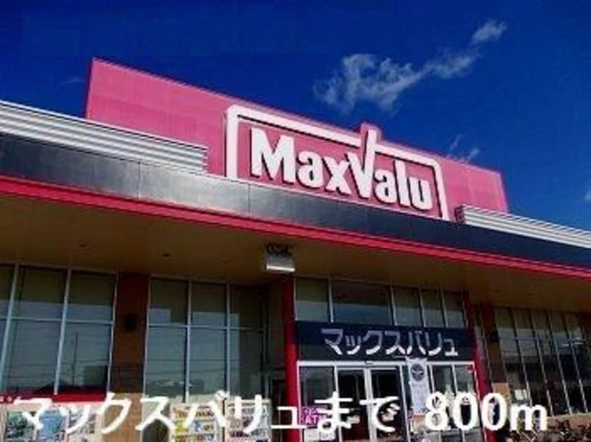 スーパーマーケット(スーパー)まで800m ドミールディオンV