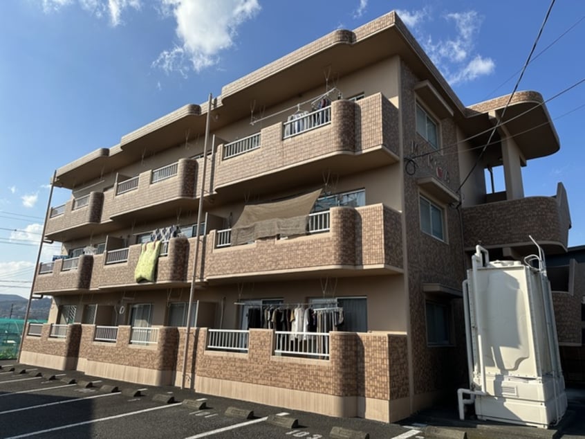  Ｍ＆ＫアップルＡ