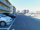  グリーンリーフ