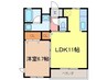 カーサデルソーレ 1LDKの間取り