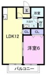 エバーライフ 1LDKの間取り