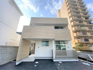 ｎｅｍｏｐｈｉｌａ