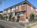 ベルテクス・テセラ
