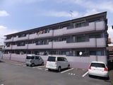 サニークレスト