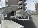  ヴィガラスＴ