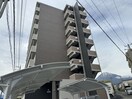  ヴィガラスＴ