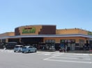 セルバ御殿場古沢店(スーパー)まで1815m※セルバ御殿場古沢店 サングリーン用沢Ａ