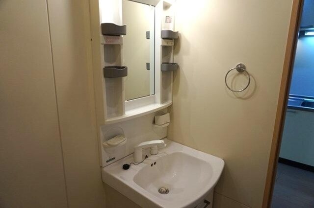  ヴィルドミール