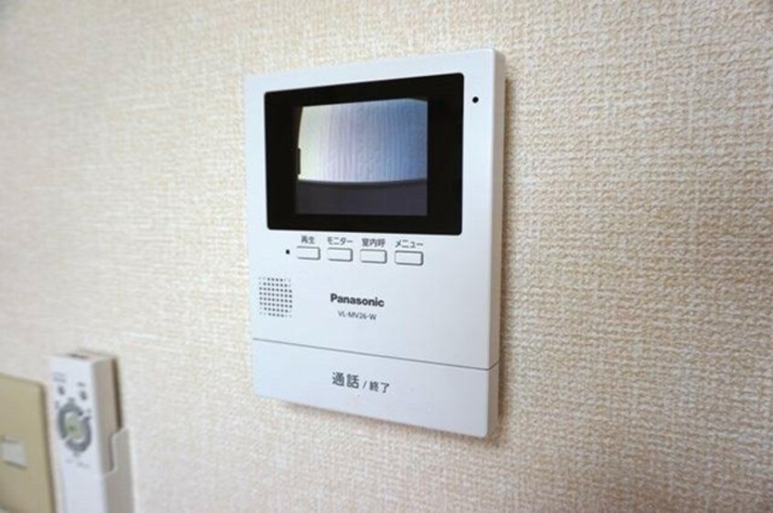  ヴィルドミール