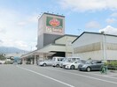 よどばしD’S三園平店(スーパー)まで1153m※よどばしD’S三園平店 アンジュ　ルミエール