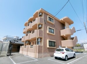 サンズ杉の木