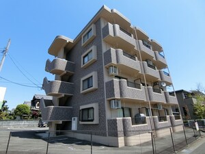 コルテシア